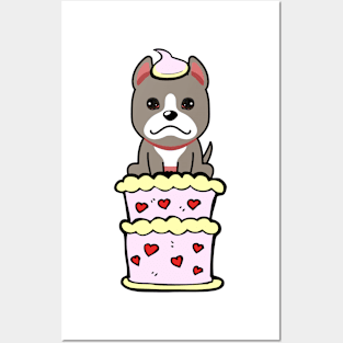 Grey dog Jumping out of a cake Posters and Art